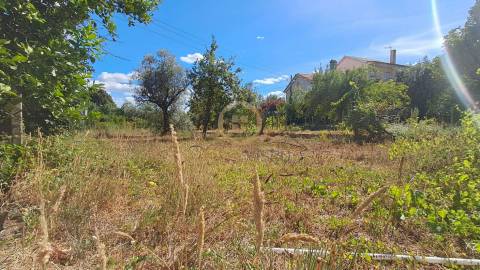 Terreno Para Construção  Venda em Rio de Loba,Viseu