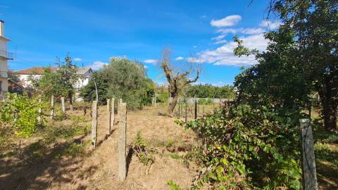 Terreno Para Construção  Venda em Rio de Loba,Viseu