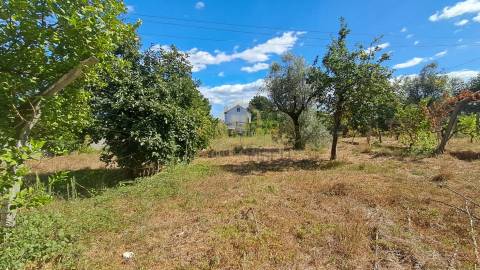 Terreno Para Construção  Venda em Rio de Loba,Viseu