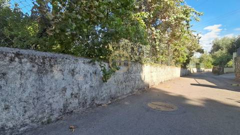Terreno Para Construção  Venda em Rio de Loba,Viseu