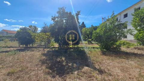 Terreno Para Construção  Venda em Rio de Loba,Viseu