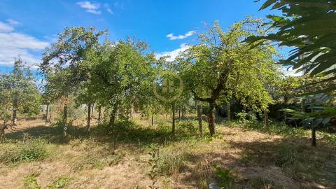 Terreno Para Construção  Venda em Rio de Loba,Viseu