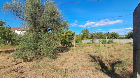 Terreno Para Construção  Venda em Rio de Loba,Viseu