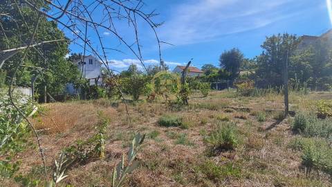 Terreno Para Construção  Venda em Rio de Loba,Viseu