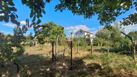 Terreno Para Construção  Venda em Rio de Loba,Viseu