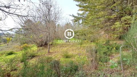 Terreno Para Construção  Venda em Fragosela,Viseu