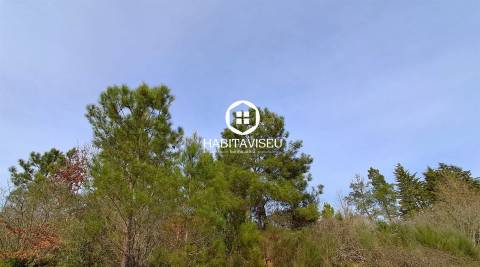 Terreno Para Construção  Venda em Fragosela,Viseu