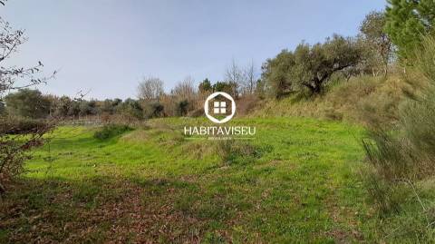 Terreno Para Construção  Venda em Fragosela,Viseu