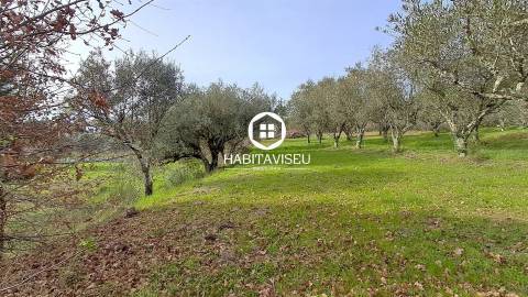 Terreno Para Construção  Venda em Fragosela,Viseu