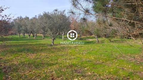 Terreno Para Construção  Venda em Fragosela,Viseu