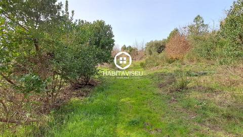 Terreno Para Construção  Venda em Fragosela,Viseu