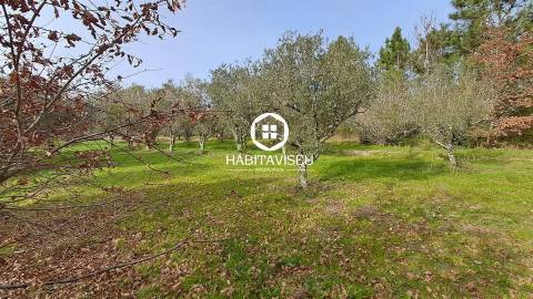 Terreno Para Construção  Venda em Fragosela,Viseu