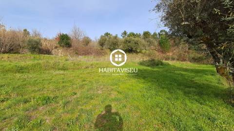 Terreno Para Construção  Venda em Fragosela,Viseu