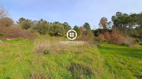 Terreno Para Construção  Venda em Fragosela,Viseu