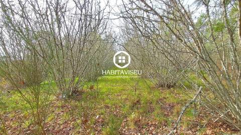 Terreno Para Construção  Venda em Fragosela,Viseu