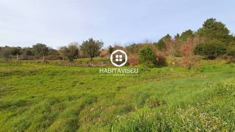 Terreno Para Construção  Venda em Fragosela,Viseu