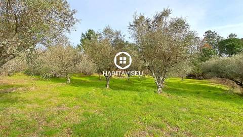 Terreno Para Construção  Venda em Fragosela,Viseu