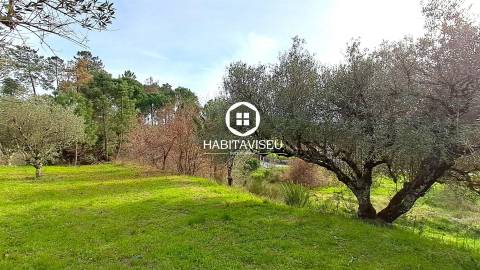 Terreno Para Construção  Venda em Fragosela,Viseu