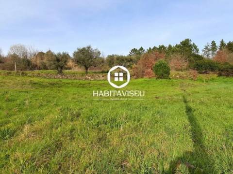 Terreno Para Construção  Venda em Fragosela,Viseu