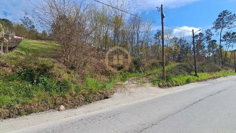 Terreno Rústico  Venda em Repeses e São Salvador,Viseu