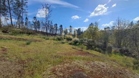 Terreno Rústico  Venda em Repeses e São Salvador,Viseu