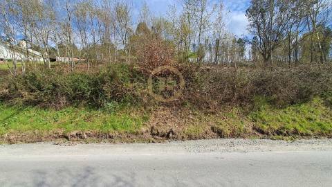 Terreno Rústico  Venda em Repeses e São Salvador,Viseu