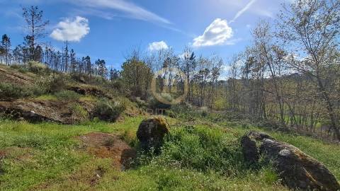 Terreno Rústico  Venda em Repeses e São Salvador,Viseu