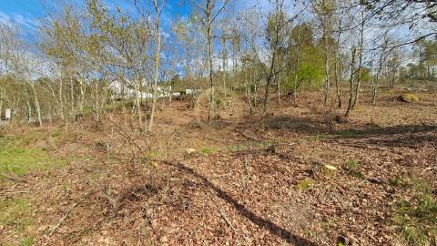 Terreno Rústico  Venda em Repeses e São Salvador,Viseu