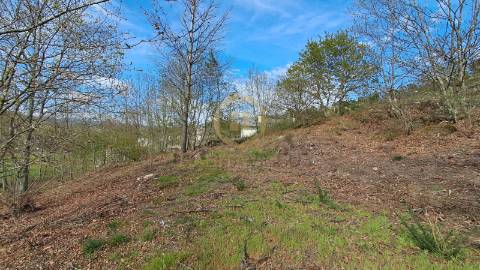 Terreno Rústico  Venda em Repeses e São Salvador,Viseu