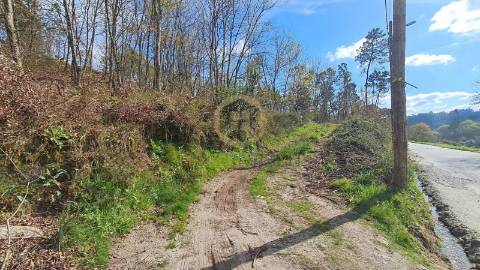 Terreno Rústico  Venda em Repeses e São Salvador,Viseu