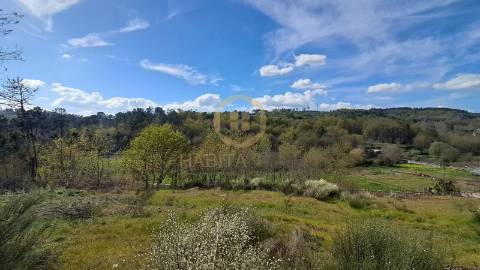 Terreno Rústico  Venda em Repeses e São Salvador,Viseu