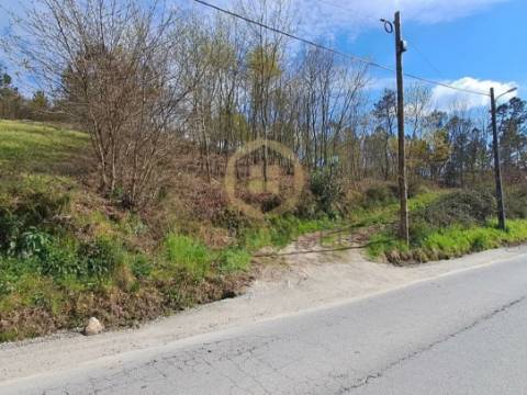 Terreno Rústico  Venda em Repeses e São Salvador,Viseu