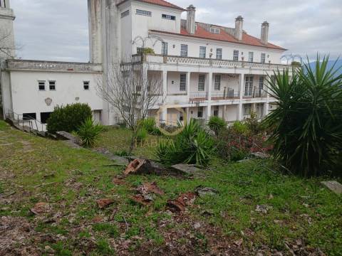 Herdade  Venda em Abrunhosa-a-Velha,Mangualde