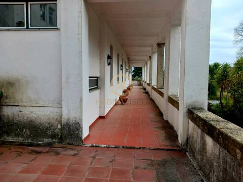 Herdade  Venda em Abrunhosa-a-Velha,Mangualde