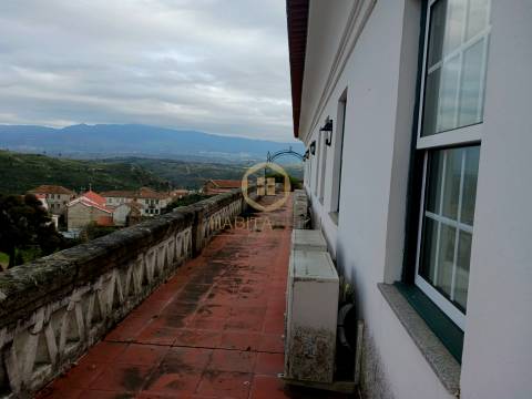 Herdade  Venda em Abrunhosa-a-Velha,Mangualde