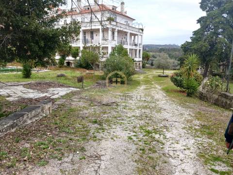 Herdade  Venda em Abrunhosa-a-Velha,Mangualde