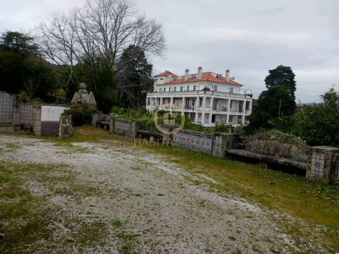 Herdade  Venda em Abrunhosa-a-Velha,Mangualde