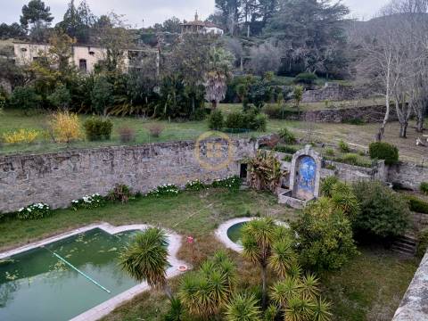 Herdade  Venda em Abrunhosa-a-Velha,Mangualde