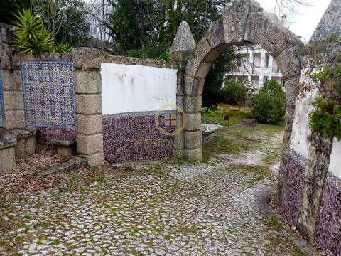 Herdade  Venda em Abrunhosa-a-Velha,Mangualde