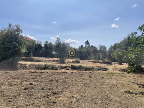 Terreno Urbano  Venda em Silgueiros,Viseu