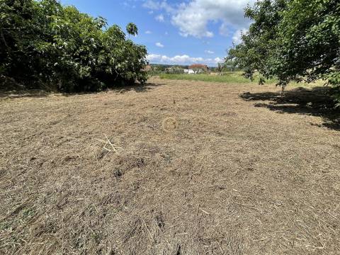 Terreno Urbano  Venda em Silgueiros,Viseu