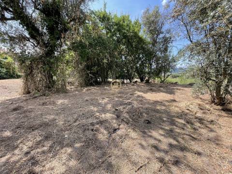 Terreno Para Construção  Venda em Silgueiros,Viseu