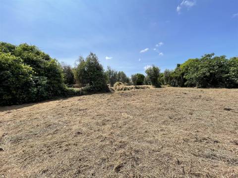 Terreno Para Construção  Venda em Silgueiros,Viseu