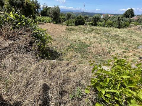 Terreno Para Construção  Venda em Silgueiros,Viseu
