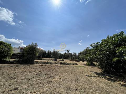Terreno Para Construção  Venda em Silgueiros,Viseu
