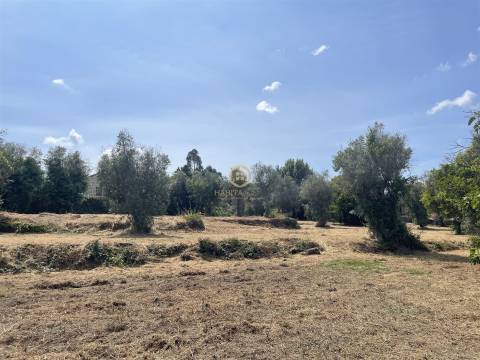 Terreno Para Construção  Venda em Silgueiros,Viseu