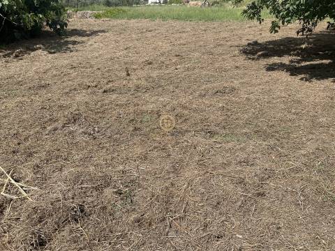 Terreno Para Construção  Venda em Silgueiros,Viseu