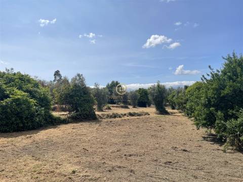 Terreno Para Construção  Venda em Silgueiros,Viseu