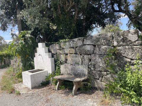 Terreno Para Construção  Venda em Silgueiros,Viseu