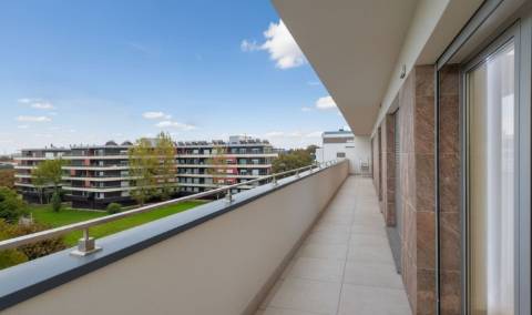 Apartamento T4 Venda em Repeses e São Salvador,Viseu